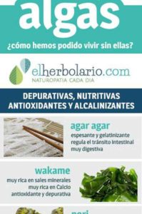 tipos de algas para adelgazar