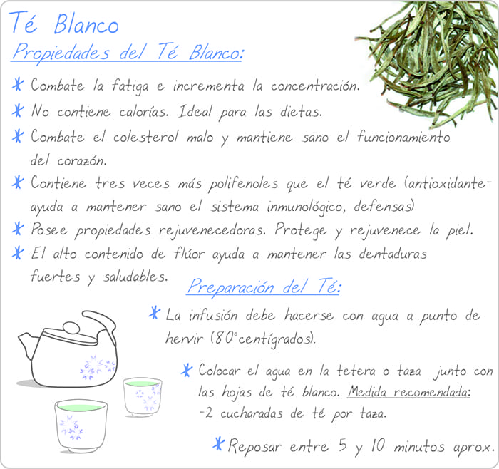 propiedades y beneficios del té blanco