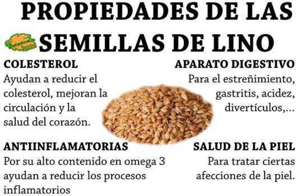 propiedades de las semillas de lino