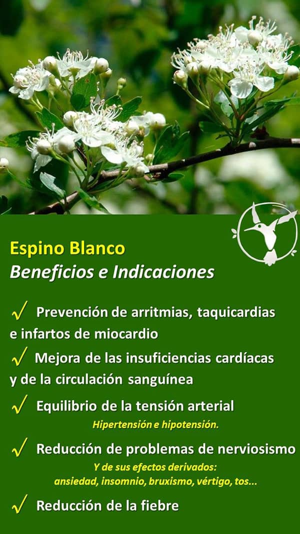 beneficios del espino blanco