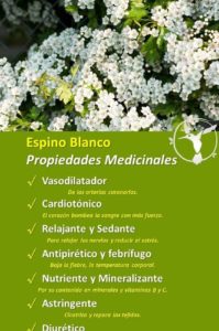 propiedades del espino blanco