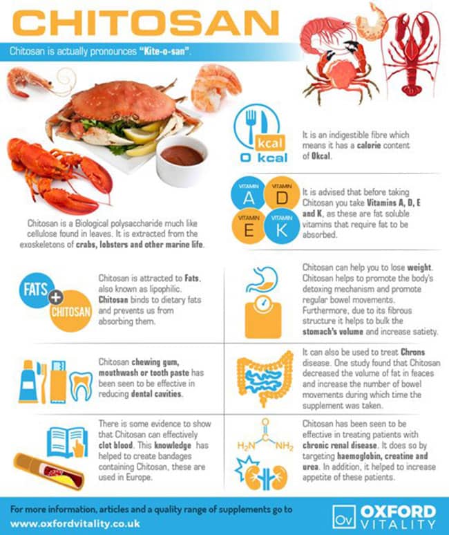 infografía sobre el chitosan