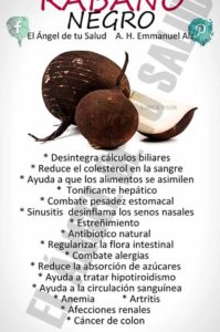 beneficios del rábano negro