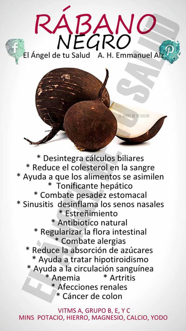 beneficios del rábano negro